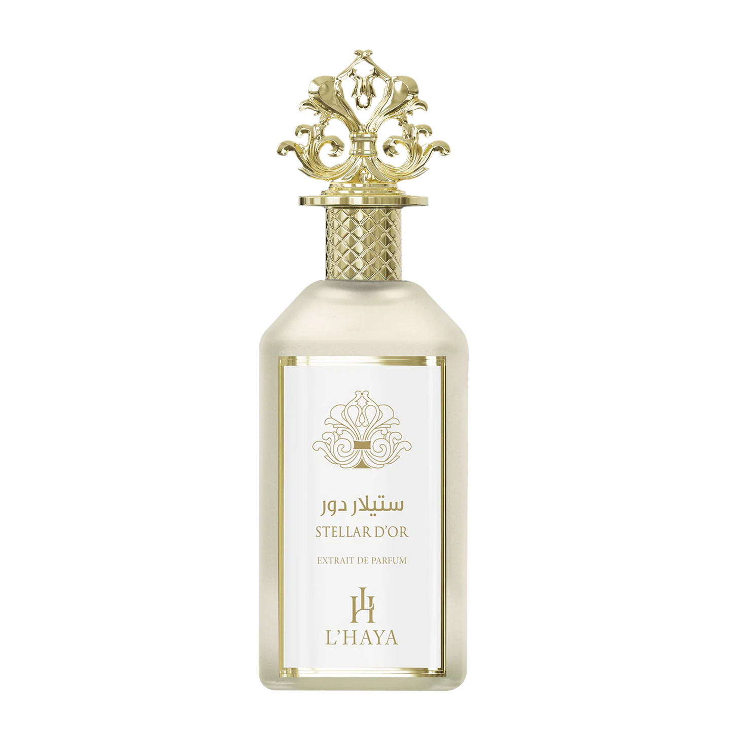 Stellar D'OR -L’Haya