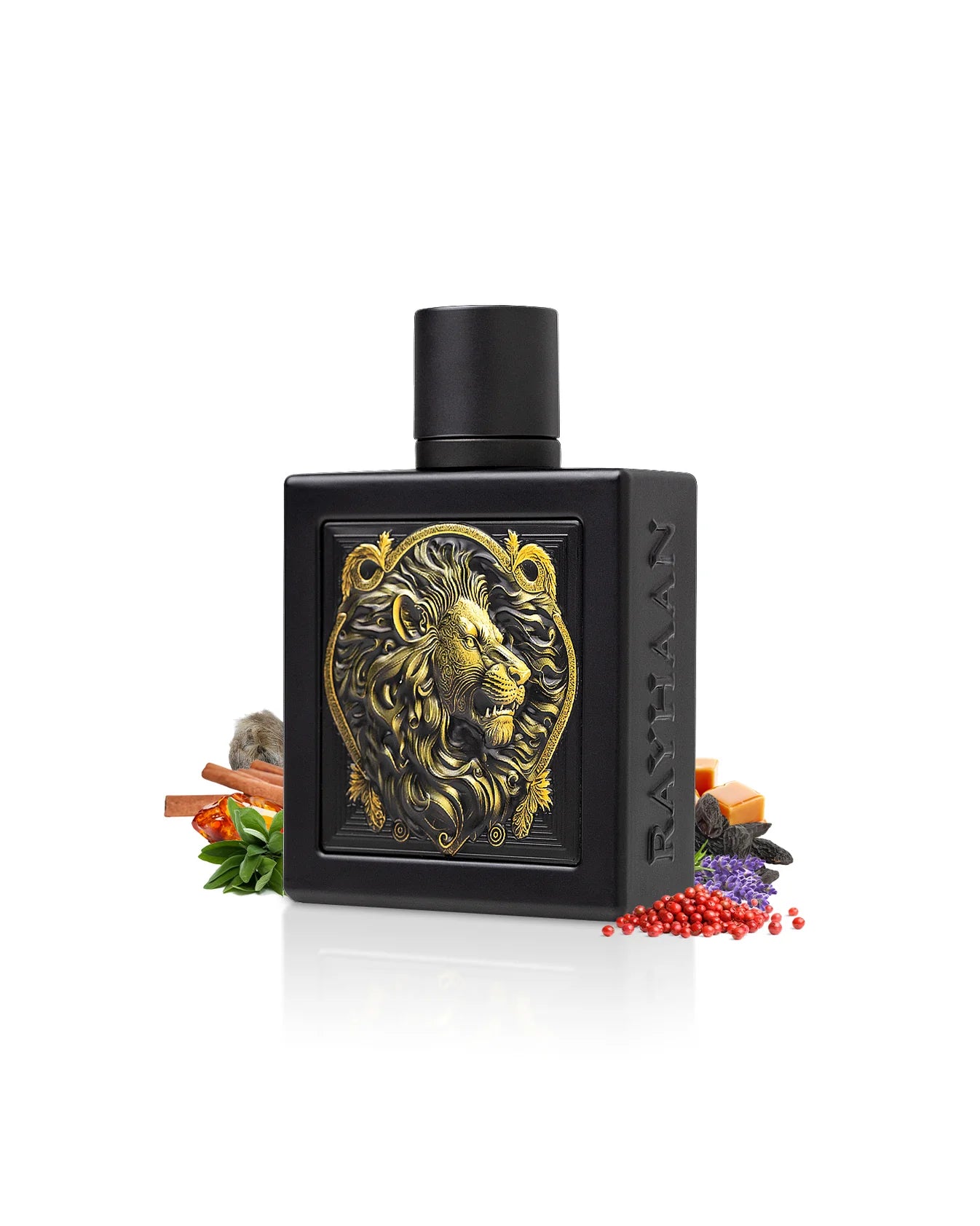 LION -RAYHAAN